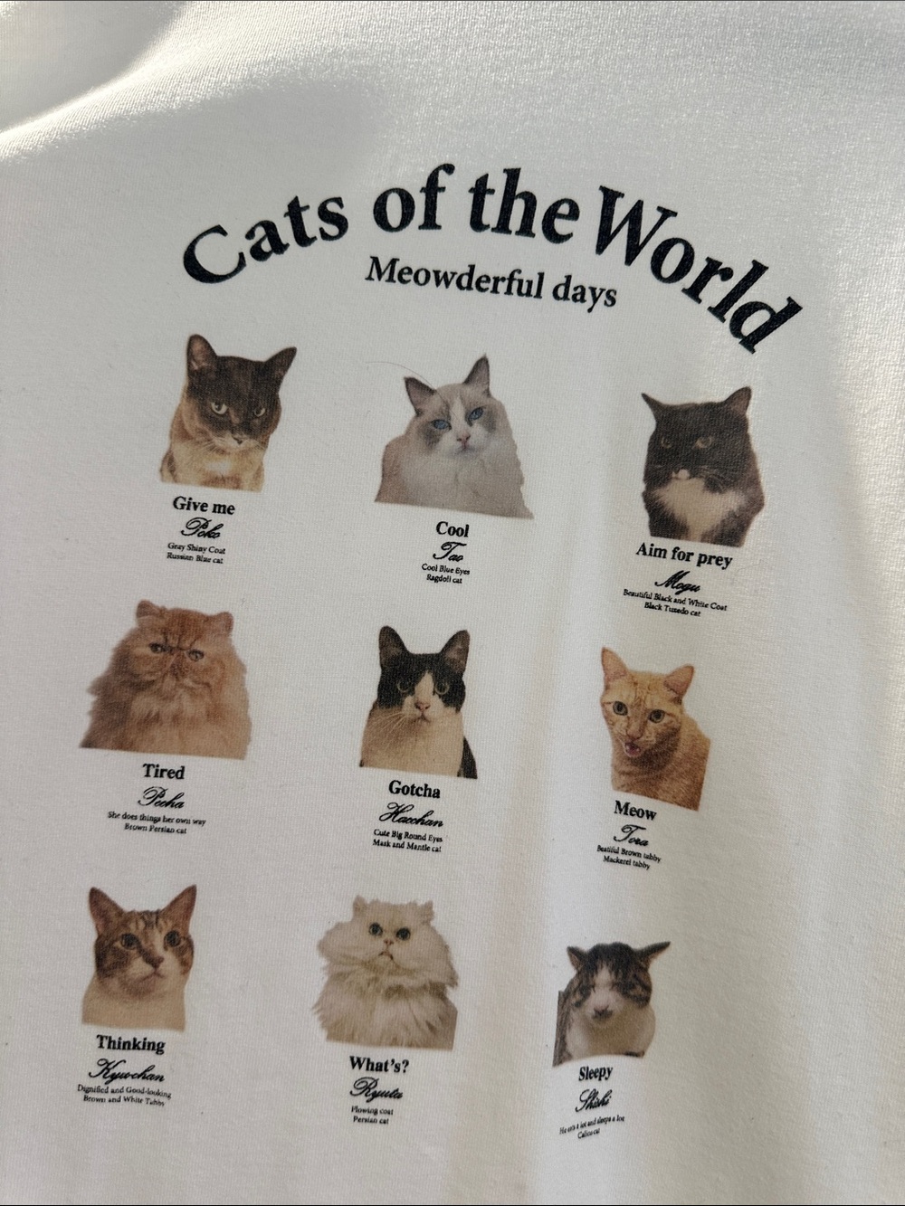 Cats of the World Meowderful Days White Cat Graphic Tee - Casual Cat Print